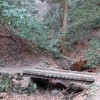 Altbewährt