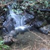 Reinstes Wasser