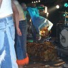 img.06-11-10.0070