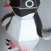 Pinguin normal