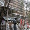 Baum mit Mikuji