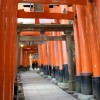 Der Torii-Tunnel