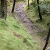 Natuerlicher Pfad