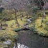 Naturbelassener Garten