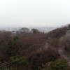 Plattform nebst Stadt im Hintergrund
