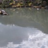 Reflektionen