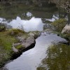 Sauberes Wasser