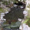 Seichtes Bächlein