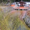 Seichtes Flussbett
