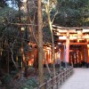 Weitere Torii-Tunnel