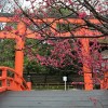 Wunderschoene traditionelle Bruecke