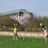 Kubb