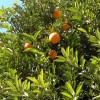 Ein Hauch von Sommer