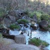 Japanischer Garten