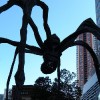 Maman aus der Nähe