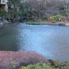 Wellengang im japanischen Garten
