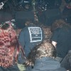 img.06-03-04.0043