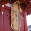 Kein Boot sondern ein Schuh