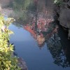Klares Wasser
