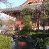 Prachtvoller Garten