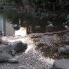 See im Park
