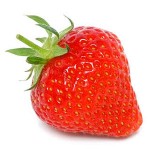 Erdbeere