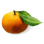 Mandarine